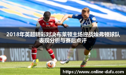 2018年英超精彩对决布莱顿主场迎战埃弗顿球队表现分析与赛后点评